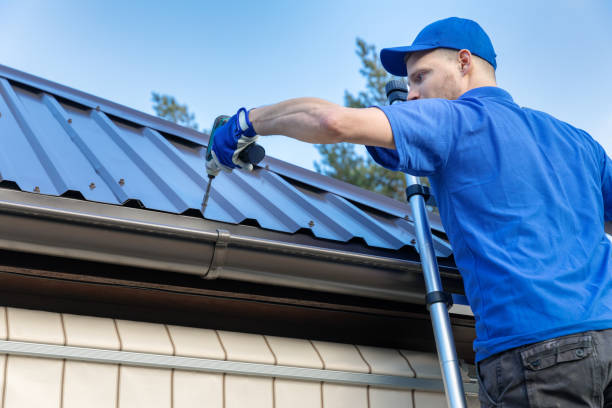 Best Solar Panel Roofing Installation  in Hlsboro, IL