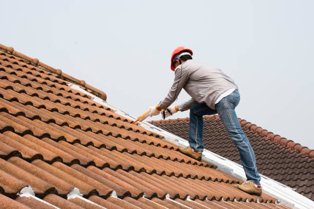 Best Metal Roofing Installation  in Hlsboro, IL